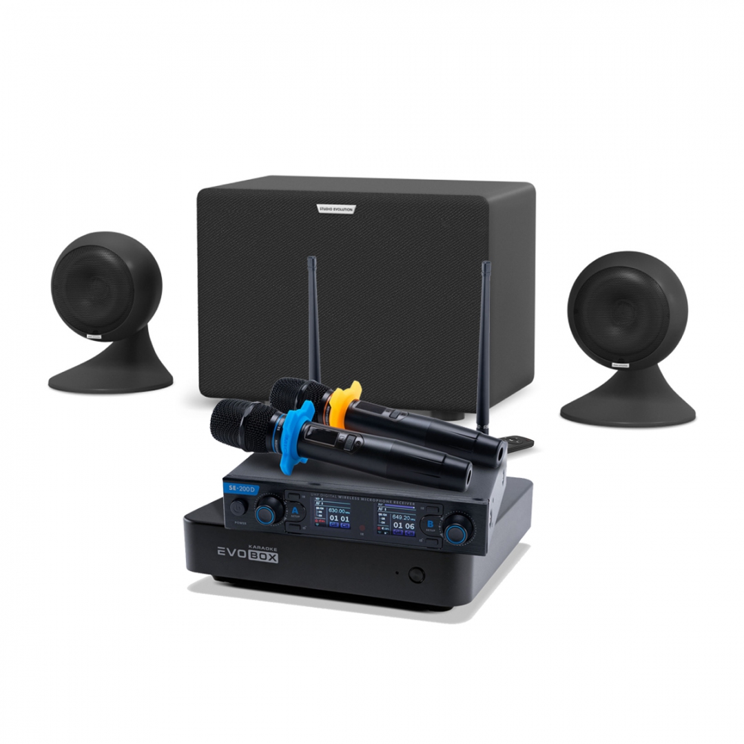 караоке-комплект EVOBOX + EvoSound Sphere 2.1 в Саранске