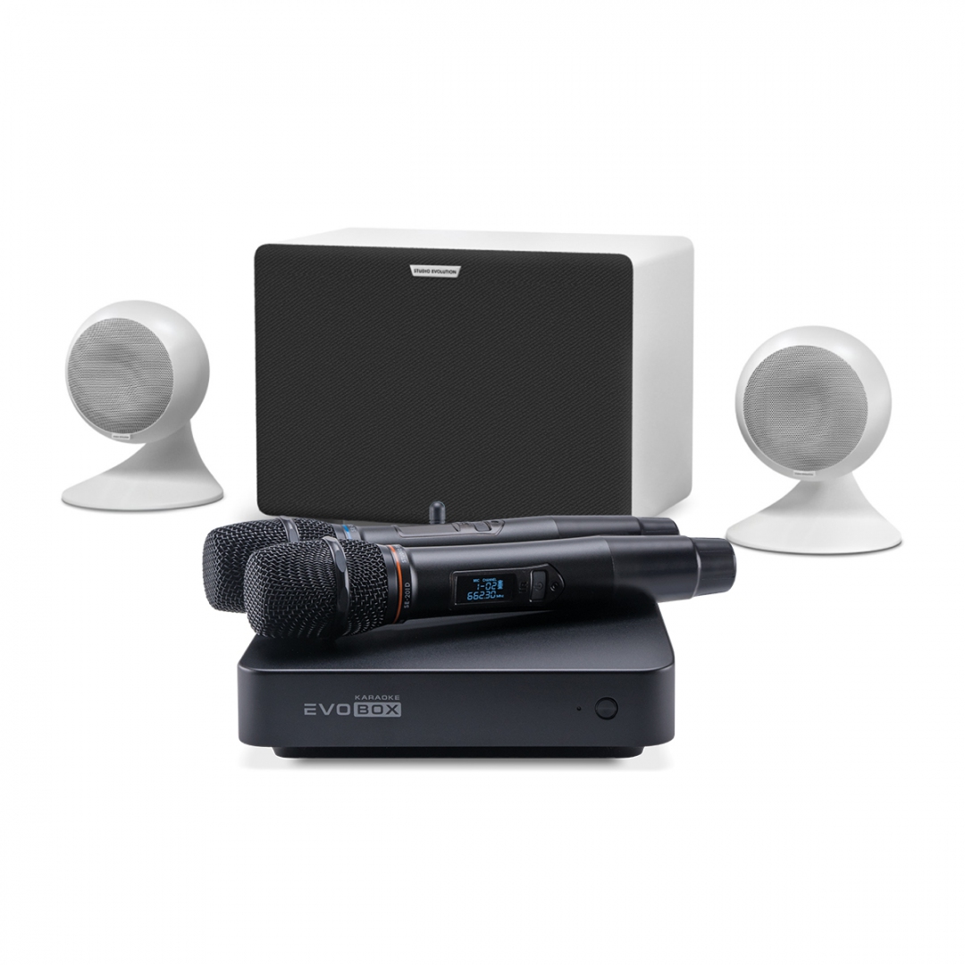караоке-комплект EVOBOX Classic + EvoSound Sphere 2.1 в Саранске