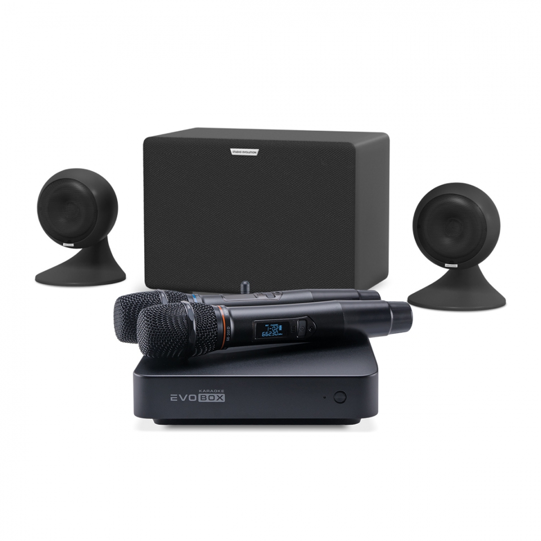караоке-комплект EVOBOX Plus + EvoSound Sphere 2.1 в Саранске