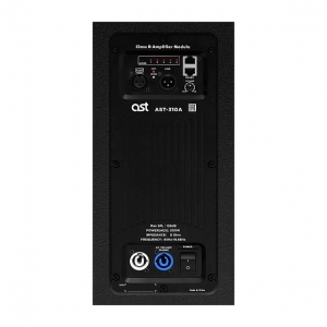 Активная акустическая система AST-310A в Саранске