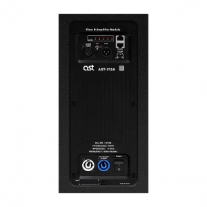 Активная акустическая система AST-312A в Саранске