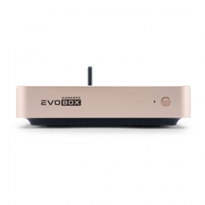 EVOBOX Plus караоке-система для дома в Саранске
