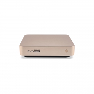 EVOBOX с микрофонами в Саранске